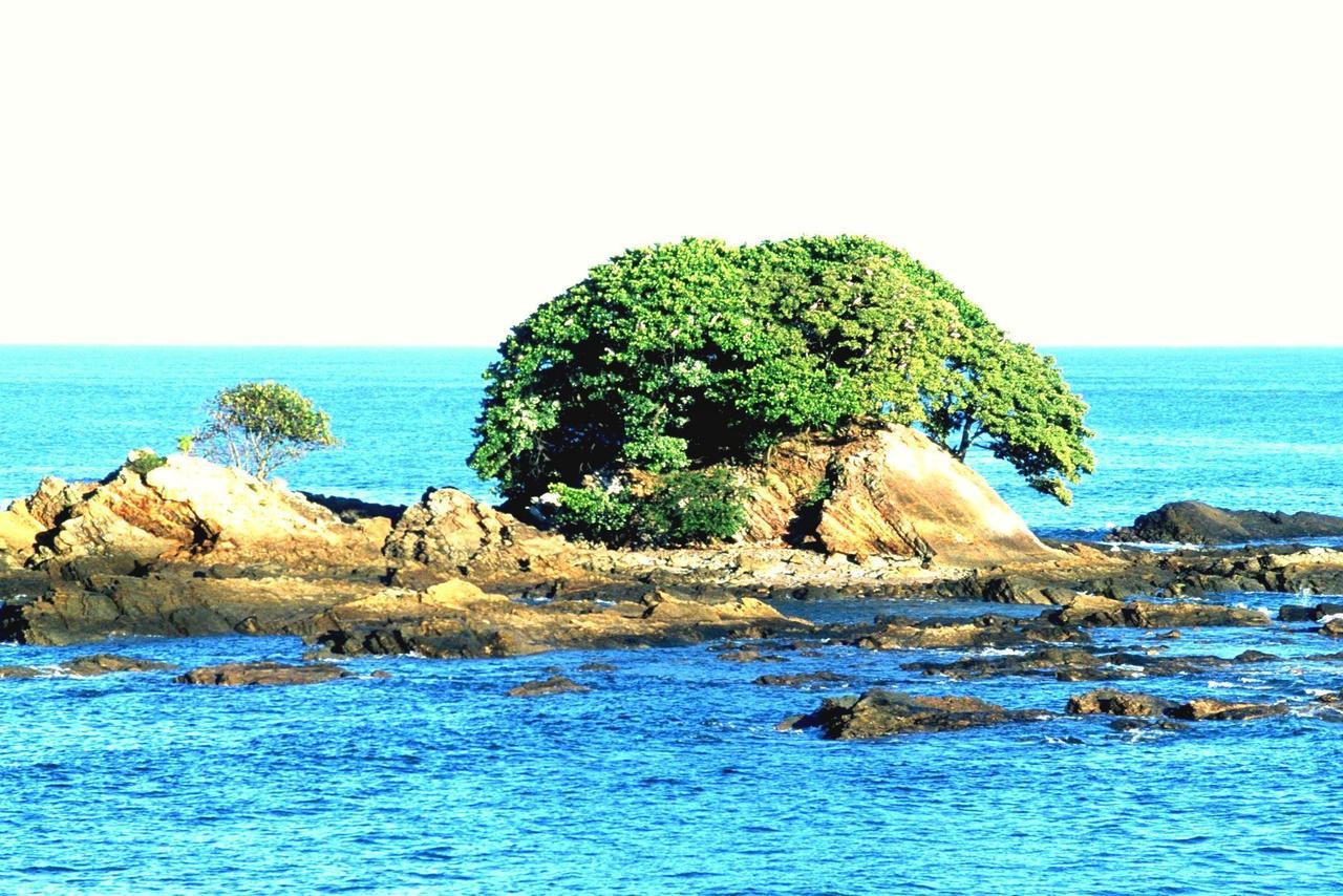 도미니칼 Cabinas La Parcela 빌라 외부 사진